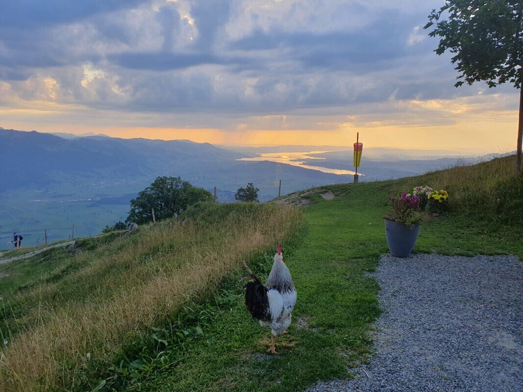 Sommerwanderung Bogmen